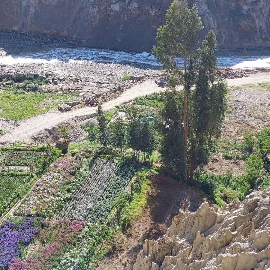 Colibri Eco Lodge & Camping La Paz Exterior foto
