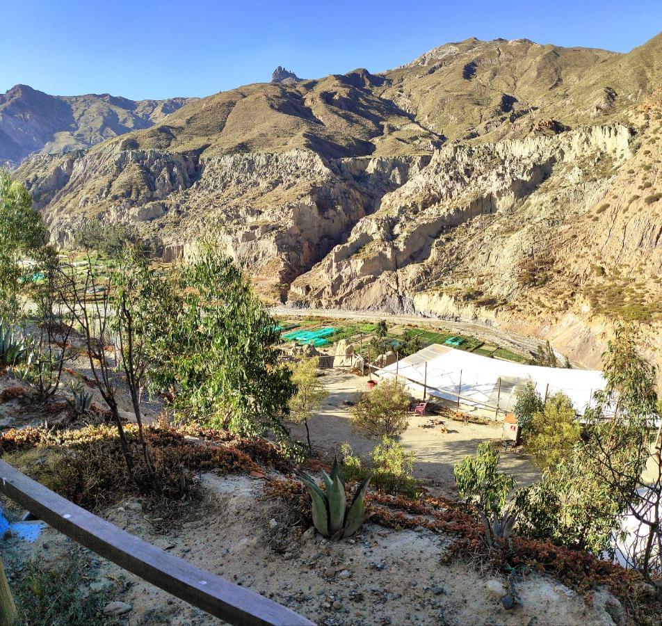 Colibri Eco Lodge & Camping La Paz Exterior foto